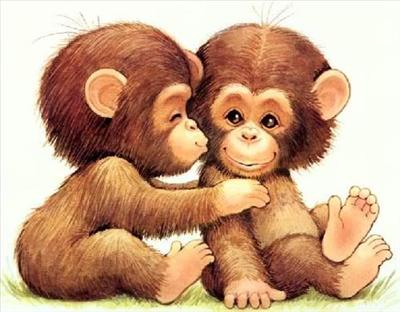 Monkey hug