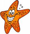Star Fish