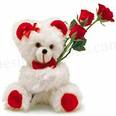 Love Teddy