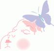 Butter-fly