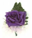Purple Rose
