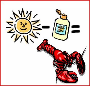 Sunburnt lobster