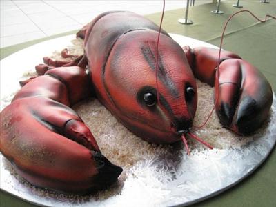Lobster cake