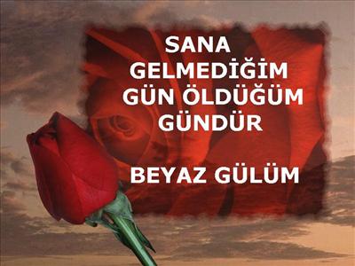 KIRMIZI GÜL