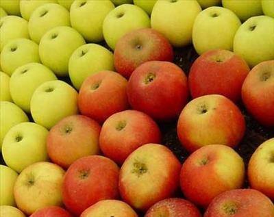 Apples