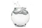fish bowl!!