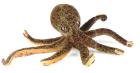octapus