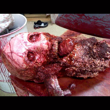 ZOMBIE HEAD!!