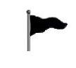 Black Flag
