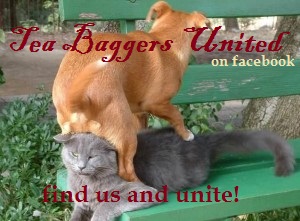 Tea Baggers Unite!