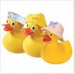 Hatted Ducks