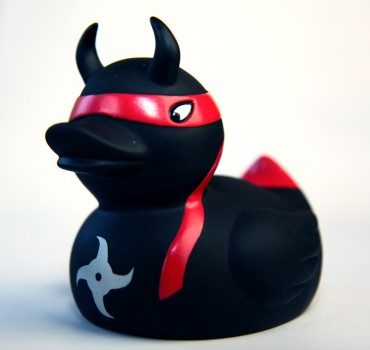 Ninja Duck
