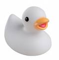 White Duck