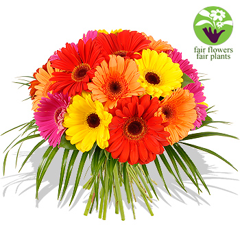 Gerbera bouquet