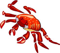 Crabs