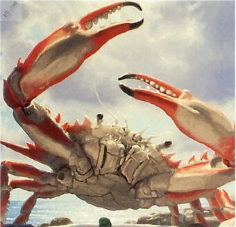 case of crabs