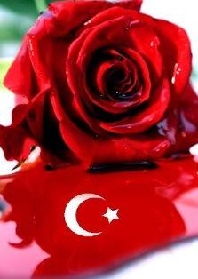 Her Profile Bir Türk Bayrağı