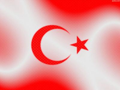 Her Profile Bir Türk Bayrağı