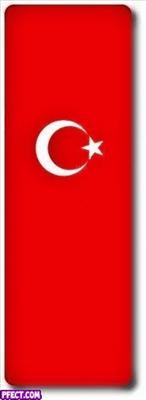 Her Profile Bir Türk Bayrağı