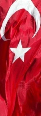 Her Profile Bir Türk Bayrağı