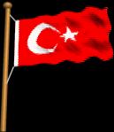 Türk Bayrağı 