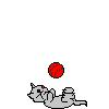 Playing With Yarn