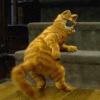 The Garfield Shake!