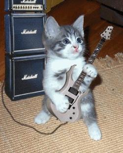 Guitar Cat 2