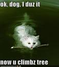 Daring!