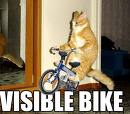 Visible Bike!