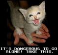 Secret Weapon
