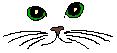 Cat Blink