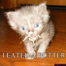 I Ate Too Much!