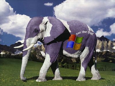 Elephant