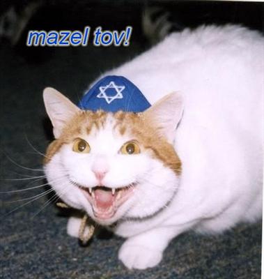 Mazeltov