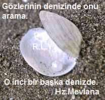 inci