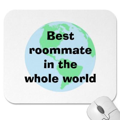 Roomate