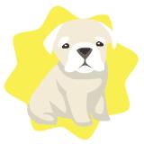 Bulldog doll