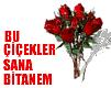 bu guller san bitanem