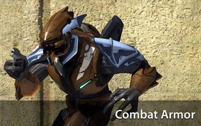 Combat