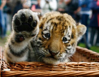 High five!