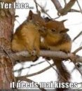 kisses