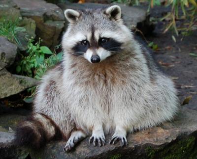 Hi there
