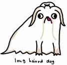 Long haired dog