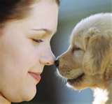 sweet noses
