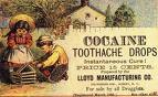 Cocaine Tooth Drops