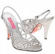 Silver Shoes