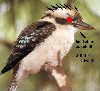 Evil Kookaburra