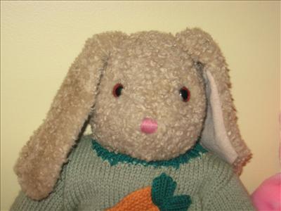 Bunny