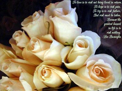 WHITE ROSES